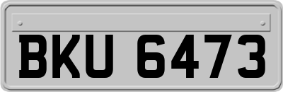 BKU6473
