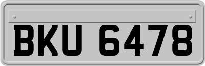 BKU6478