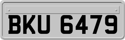 BKU6479