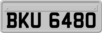 BKU6480