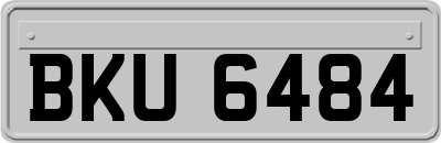BKU6484
