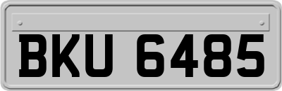 BKU6485