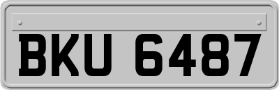 BKU6487