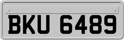 BKU6489
