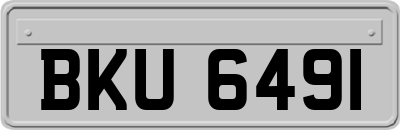 BKU6491