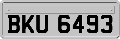 BKU6493