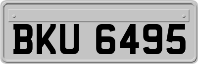 BKU6495