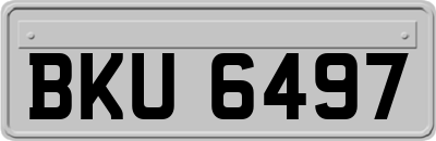 BKU6497