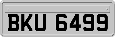 BKU6499