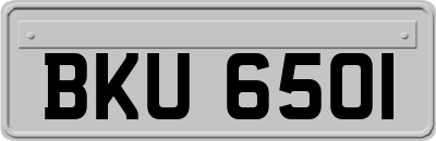 BKU6501