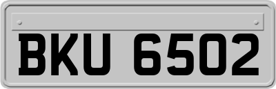 BKU6502