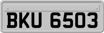 BKU6503