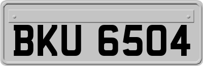 BKU6504
