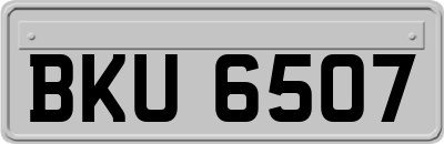 BKU6507