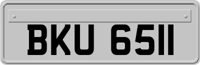 BKU6511