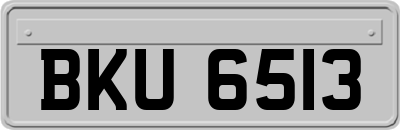 BKU6513