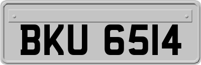 BKU6514