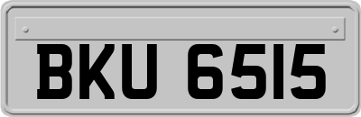 BKU6515