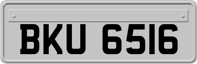 BKU6516
