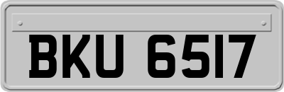 BKU6517