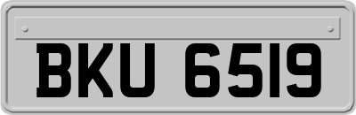 BKU6519