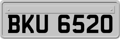 BKU6520