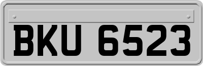 BKU6523