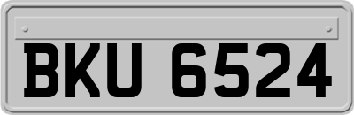 BKU6524