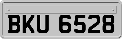 BKU6528