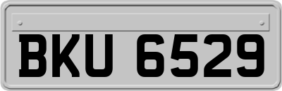 BKU6529