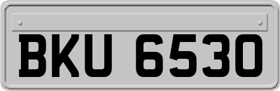 BKU6530