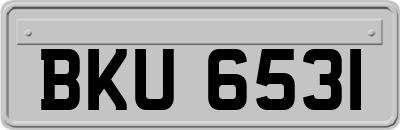 BKU6531