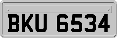 BKU6534