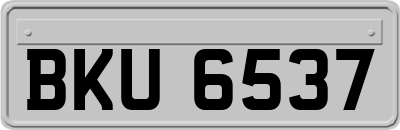 BKU6537