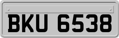 BKU6538