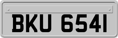 BKU6541