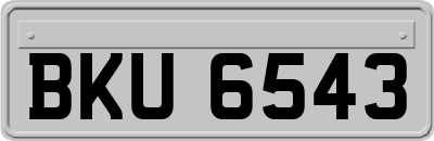 BKU6543