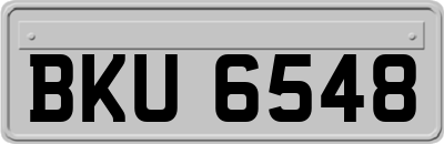 BKU6548