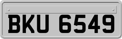 BKU6549