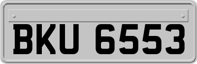 BKU6553