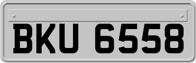 BKU6558