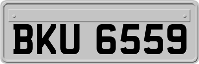 BKU6559