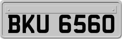 BKU6560