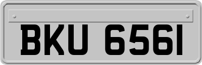 BKU6561