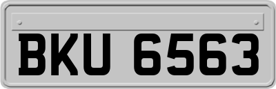 BKU6563