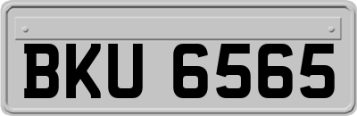 BKU6565
