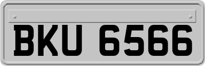 BKU6566