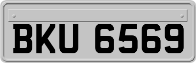 BKU6569