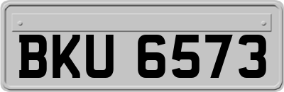 BKU6573