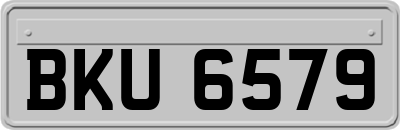 BKU6579